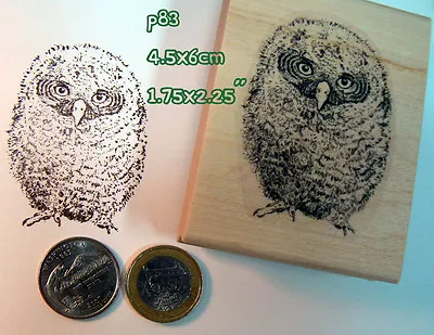 P83 Owlet Baby Owl Rubber Stamp  • $11