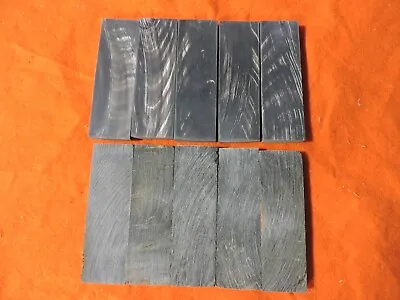 Natural Black Horn Blank/slabs • $27