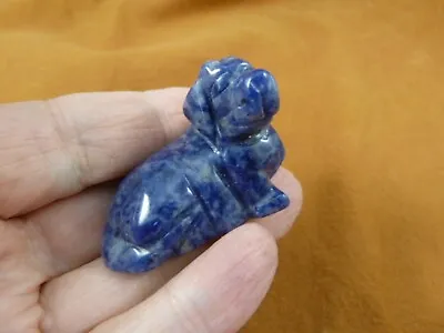 Y-DOG-DA-552) Blue Gray Sodalite DACHSHUND Weiner Hot Dog Gemstone FIGURINE Pup • $15.79