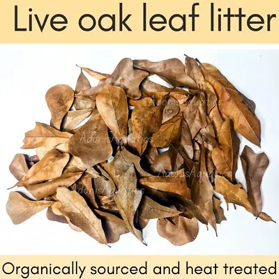 1 Quart Live Oak Leaf Litter (for Isopods Reptiles Ect) Organic Heat Treated • $5.99