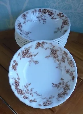 8 X Minton China Ancestral S376 Ice Cream Bowls With Brown Leaves & Fronds • £2.99