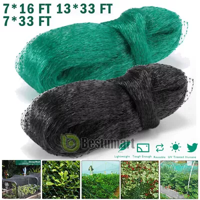 33FT Anti Bird Netting Pond Net Protection Tree Crops Plants Fruits Garden Mesh • $8.35