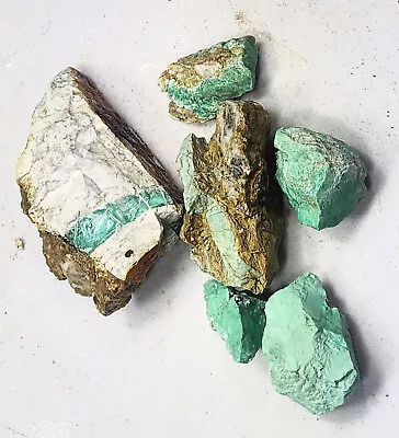 Broken Arrow Variscite 6 NV Specimens Or Cab Cutting Rough • $5.99