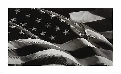 $30.89 • Buy Robert Longo, 'Flag' II, Fine Art Print, Various Sizes