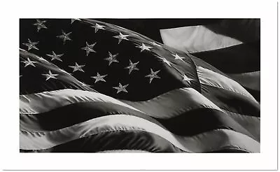 $30.43 • Buy Robert Longo, 'Flag' II, Fine Art Print, Various Sizes