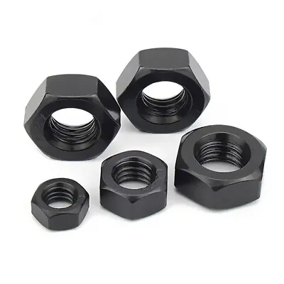 Black 304 Stainless Steel Hexagon Nut Hex Nut M2 M2.5 M3 M4 M5 M6 M8 M10 M12 • $2.72