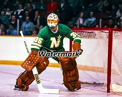 NHL 1970's Minnesota North Stars Goalie Gary Smith Color 8 X 10 Photo Picture • $5.99