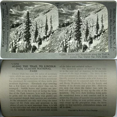 Keystone Stereoview Horses Trail In Glacier Nat ParkMT 600/1200 Card Set #1105 • $1.99