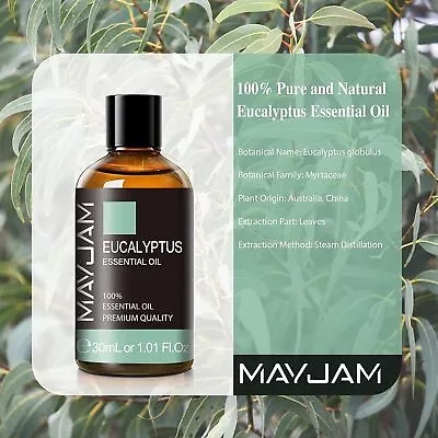 Eucalyptus 100ml Pure Essential Oils Fragrance Aromatherapy Therapeutic Diffuser • $23.99