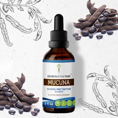 Secrets Of The Tribe Mucuna Tincture Alcohol-FREE   • $21.97