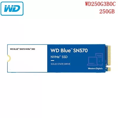 SSD WD Blue SN570 250GB 500GB 1TB M.2 2280 3D NAND NVMe SSD Up To 3500 MB/s • $89.95