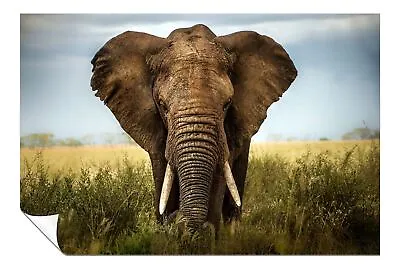 Elephant In Safari Close UP Artistic Poster Wall Art Home Decor • £9