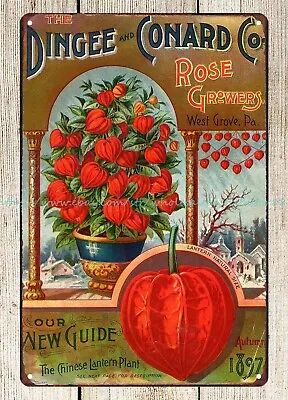 Plaque Wall Art Chinese Lantern Plant Dingee And Conard Co. 1897 Metal Tin Sign • £15.09