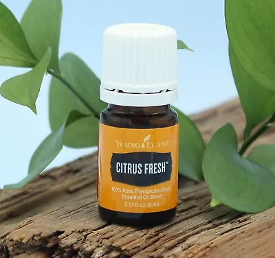 $15 • Buy Young Living Essential Oils ~ Citrus Fresh ~ 5ml ~ Highest Quality Available