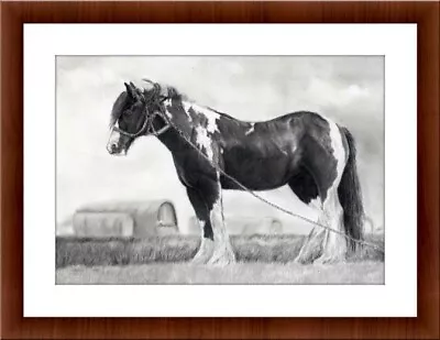 Horse Cob Gypsy  Drawing A4 Print Pencil Art  Posters Pictures Home Decor  • £4.99