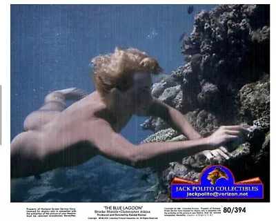 BLUE LAGOON 1980: Stars BROOKE SHIELDS & CHRISTOPHER ATKINS  8X10 COLOR PHOTO • $7.99