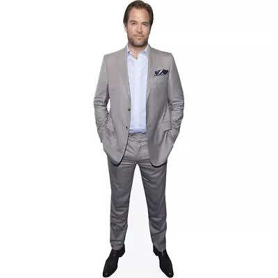 Michael Weatherly (Grey Suit) Life Size Cutout • $69.97