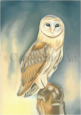 Barn Owl Print • £10