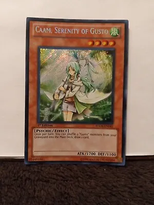 Yugioh - Caam Serenity Of Gusto HA05-EN041 1st Edition Secret Rare NM • $4