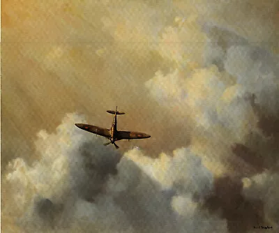 Spitfire – IMMORTAL HERO - Bookplate Painted By David Shepherd – Wall Art RM22 • £19.25