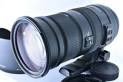 [ Excellent+ ] Sigma 50-500mm F/4.5-6.3 APO DG OS HSM SLD Ultra For Nikon • $553.33