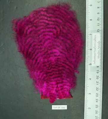 Dyed Fuschia/Pink Grizzly Hen Rump Marabou Patch Lot-SF 189 • $5.99