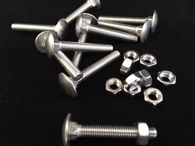 Stainless Steel Carriage Bolts And Nuts Cup Square Coach Bolts & Nuts M5 M6 M8 • £136.47