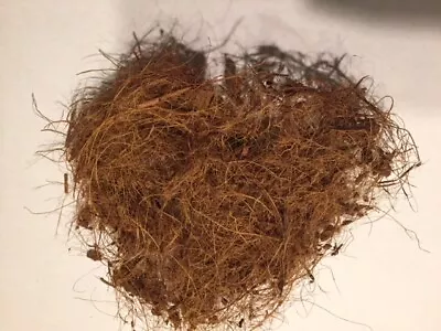 GAPS Coconut Husk Fiber - Great For Orchid Potting Mix (5 Oz) • £7.06