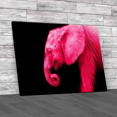 Baby Elephant Pink Canvas Print Large Picture Wall Art • £14.95