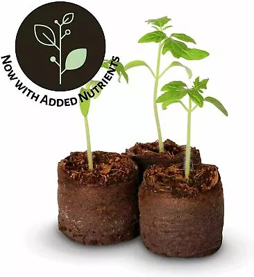 £1.99 • Buy JIFFY-7 Peat 41mm Compost Plug Seed Germination Starter Grow Propagation 