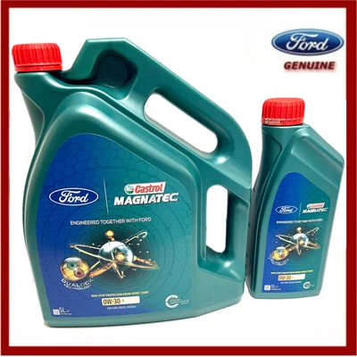£47.45 • Buy Genuine Ford Castrol 0W30 Oil 6 LITRES Magnatec Professional 1343831 New!