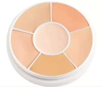 Ben Nye Media PRO HD Total Cover All Concealer Makeup Wheel SK-100 • $28.99