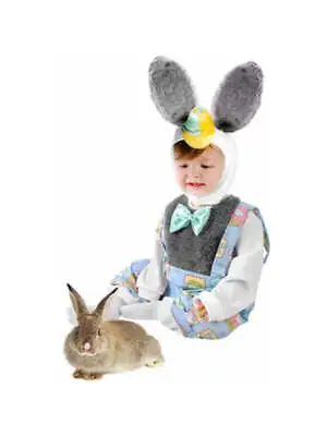 Toddler Boy Nursery Rhyme Bunny Costume • $29.99