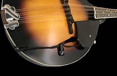 The Feather Harp Mandolin Pickup By Myers Pickups • $209.63