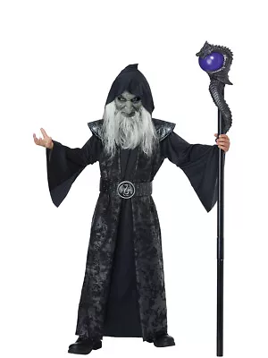 Evil Dungeon Master Wizard Warlock Child's Costume Medium 8-10 • $44.05