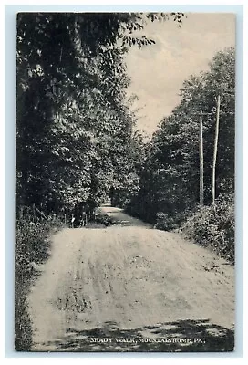C1909 Shady Walk Mountain Home Pennsylvania PA Antique Posted Postcard • $15.73