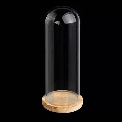 £11.98 • Buy UK Clear Glass Dome Display With Wooden Base Table Bell Jar Decoration Cloche