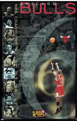 Vintage New Sealed 1998 MICHAEL JORDAN LAST SHOT NBA Champs Celebration Poster • $26.99