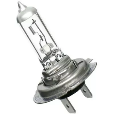 H7LL Hella Headlight Bulb Lamp Driver Or Passenger Side For VW Sedan Legacy XC90 • $17.82