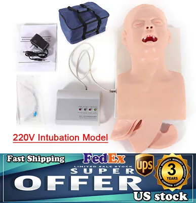 $203.30 • Buy PVC Intubation Manikin Study Teaching Model Airway Management Trainer With Alarm
