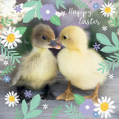 Easter 5 Card Pack - Easter Chick • £5.49