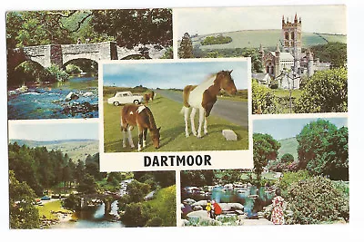 Postcard Dartmoor Devon Multiview Posted 1969 Ponies Fingle Bridge   • £2.25