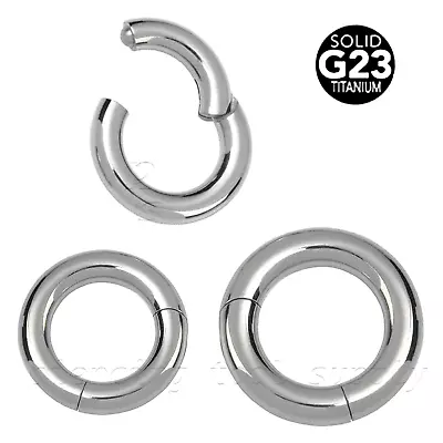 G23 Titanium Large Gauge Hinged Segment Ring Clicker Earring & Septum Ring • $17