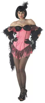 Womens Pink Black Cabaret Artist Burlesque Showgirl Sexy Adult Costume Medium • $19.99