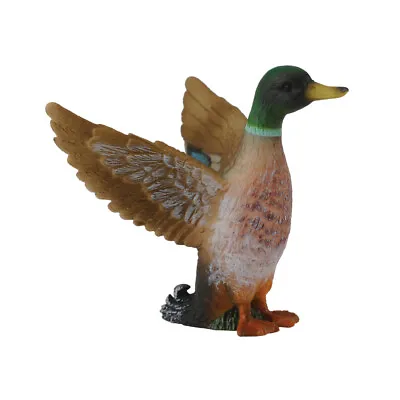 CollectA Mallard Duck (Male) • £5.99