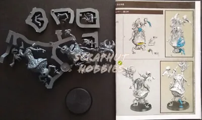 Warhammer Fantasy Age Of Sigmar Gobbapalooza Shroomancer Goblin Shaman • $15