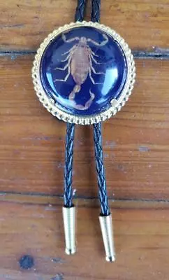 Scorpion Black And Gold Rodeo Animal Round Rodeo Cowboy Bolotie Western Bolo Tie • $14.99