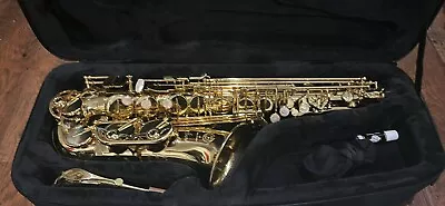 Professional Selmer Axos Alto Saxophone • $2000