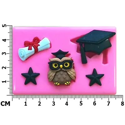 £6.50 • Buy Graduation Scroll Diploma Cap Stars Wise Owl Silicone Mould By Fairie Blessings