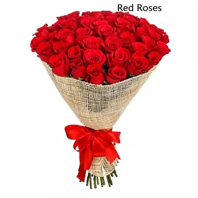 $19.95 • Buy PREMIUM HIGHLY SCENTED REED DIFFUSER REFILLS - Red Roses Fragrance
